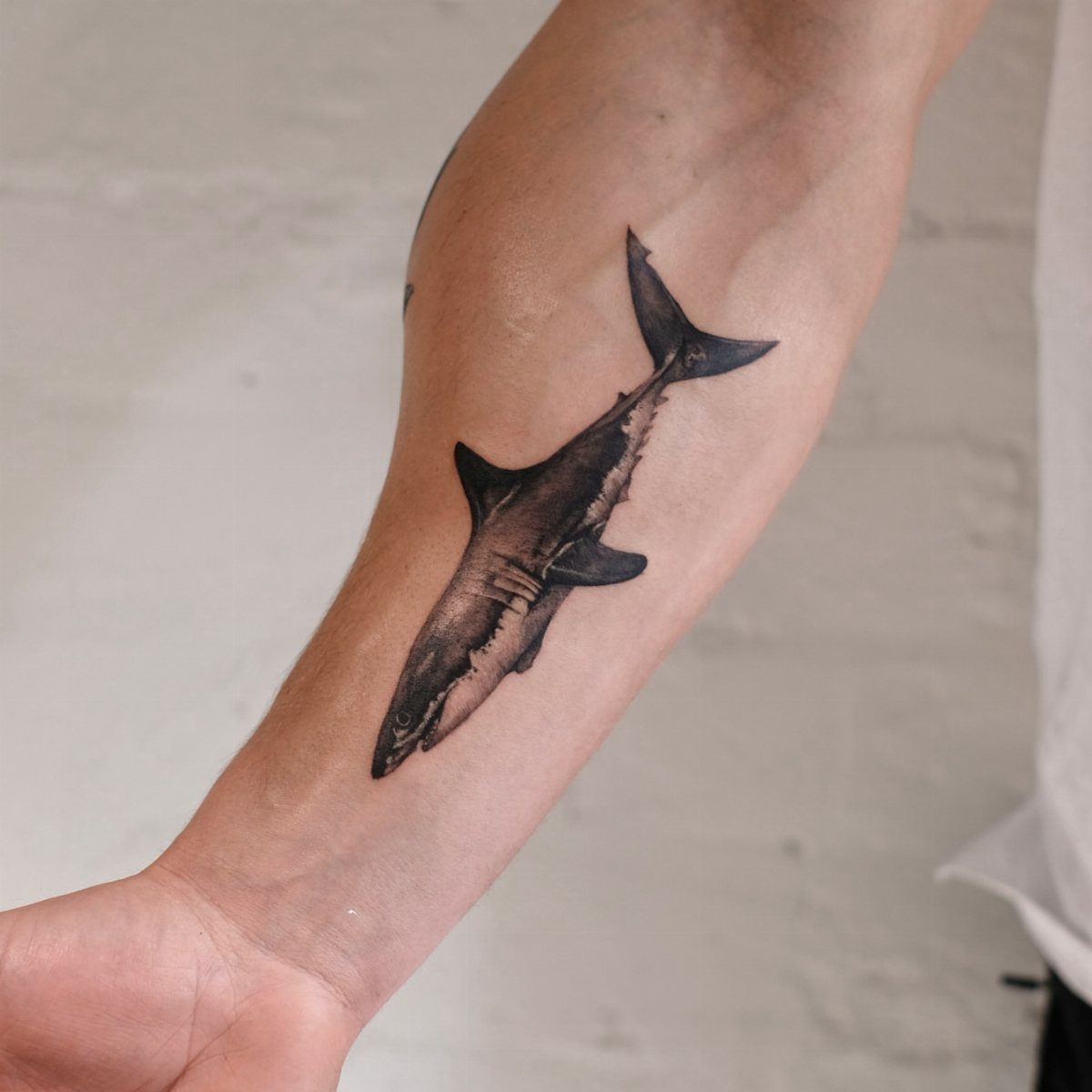 A black and grey realistic shark tattoo on a person's forearm.